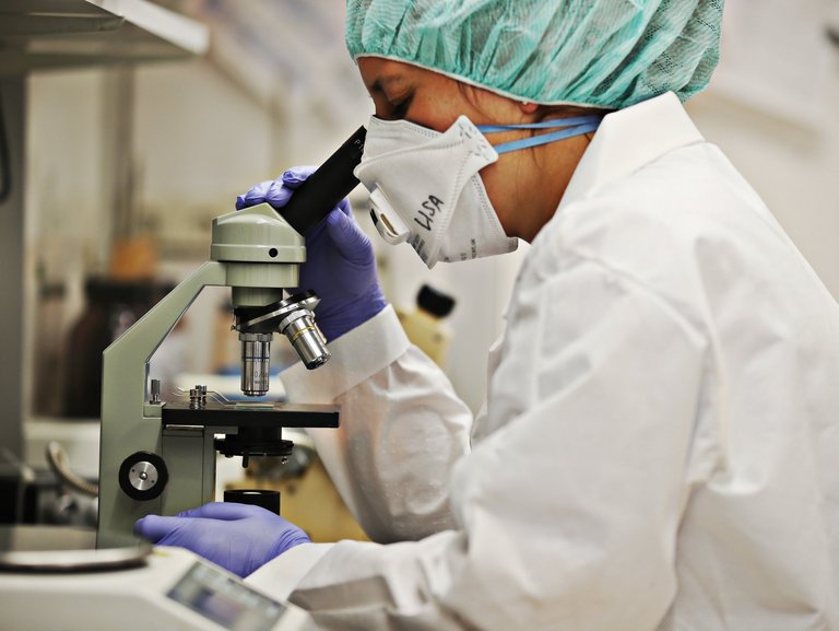 Laborpersonal mit Haube, Maske und Handschuhen arbeitet am Mikroskop in der Apotheke zur Qualitätskontrolle.